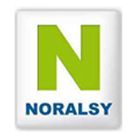 Norsaly